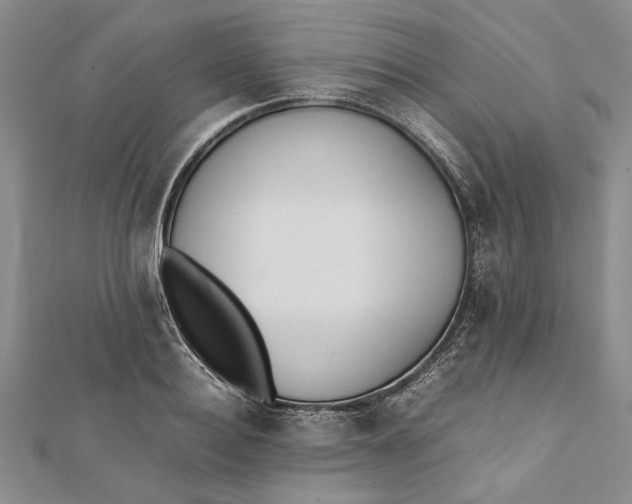 X0000112170940200908281336