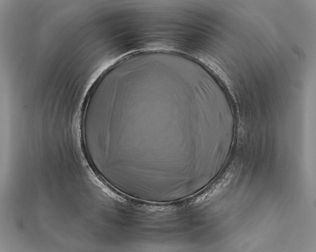 X0000112170941200908281337