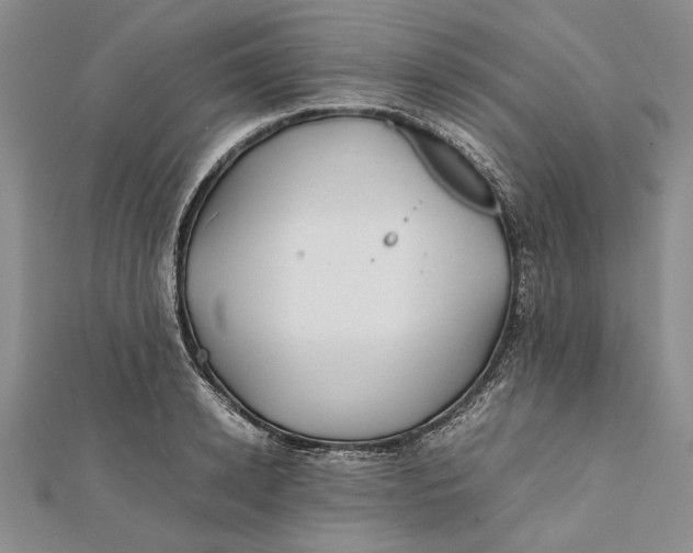 X0000112170942200908281337