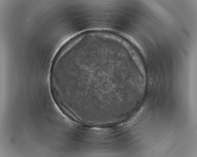 X0000112170943200908281337