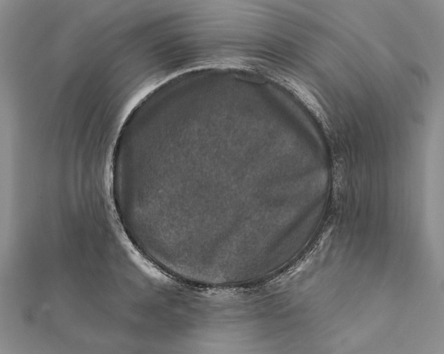 X0000112170944200908281337