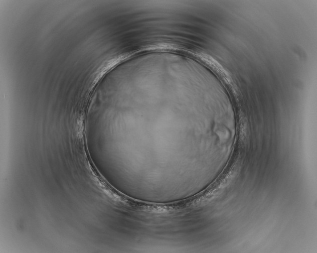 X0000112170945200908281337