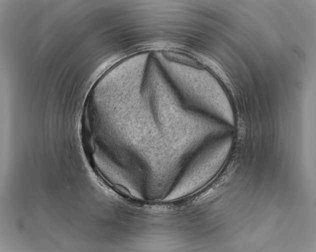 X0000112170946200908281337