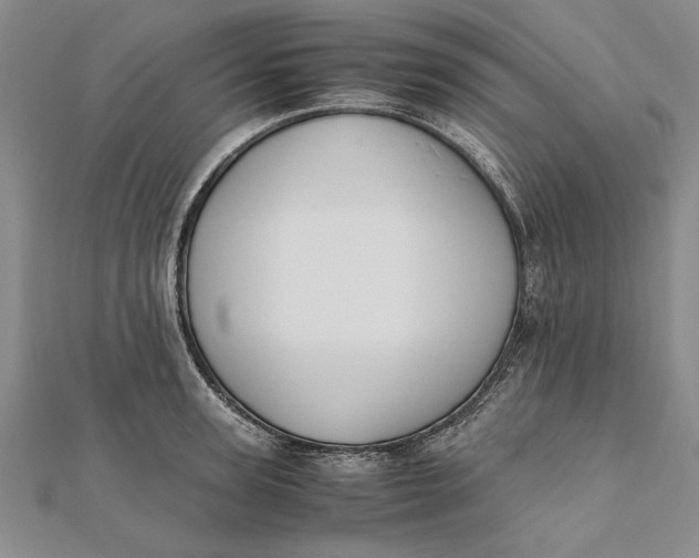 X0000112170947200908281337