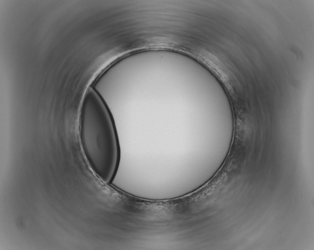 X0000112170948200908281337