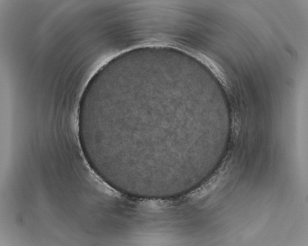 X0000112170950200908281337