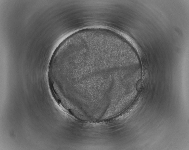 X0000112170951200908281337