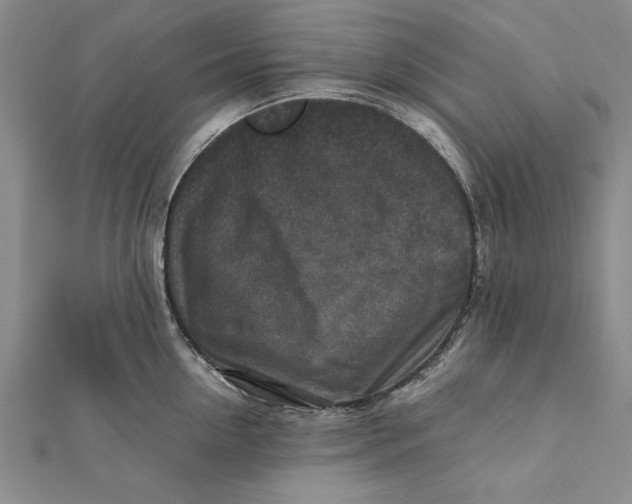 X0000112170954200908281337