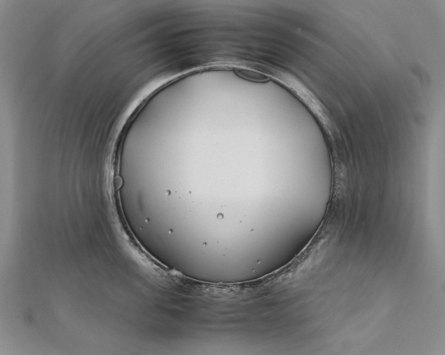 X0000112170955200908281337