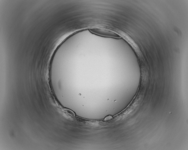 X0000112170956200908281337