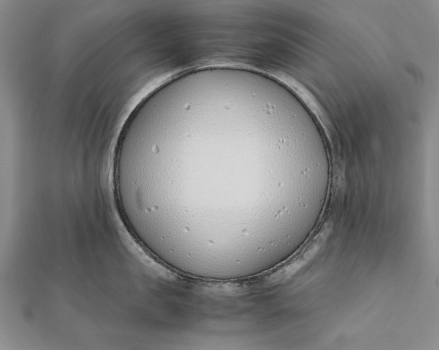 X0000112170957200908281337