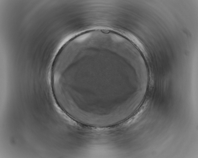 X0000112170958200908281337