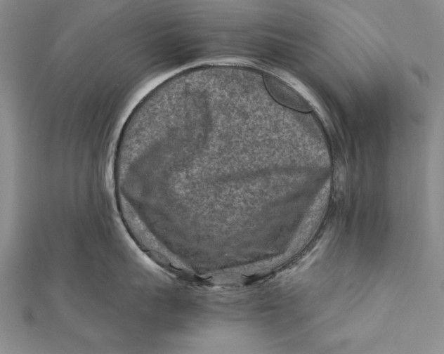 X0000112170959200908281337