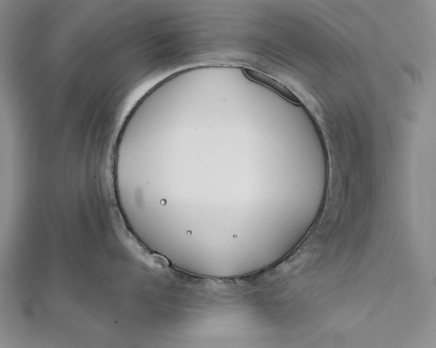 X0000112170960200908281337