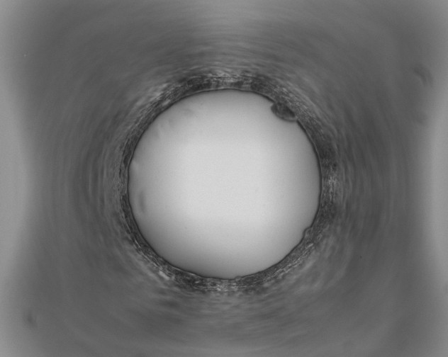 X0000112170961200908281336