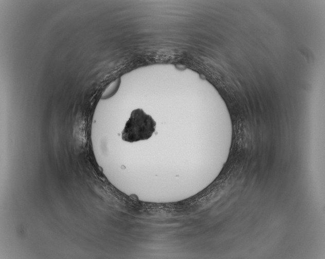 X0000112170962200908281336