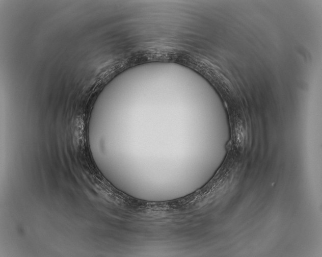 X0000112170964200908281336