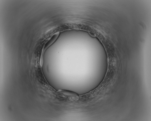 X0000112170965200908281336