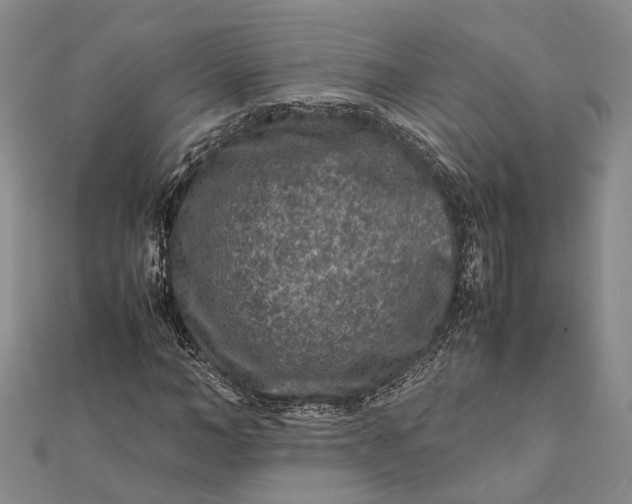 X0000112170966200908281336