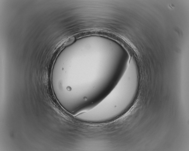 X0000112170969200908281336