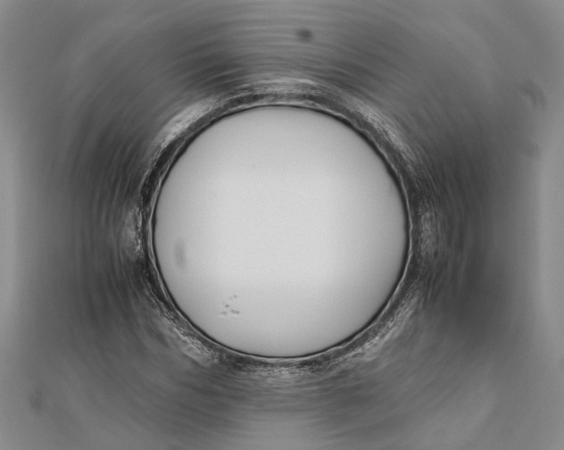 X0000112170970200908281336