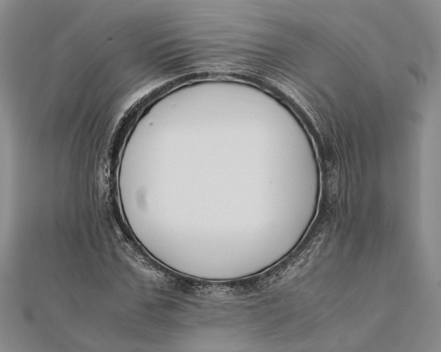 X0000112170971200908281336