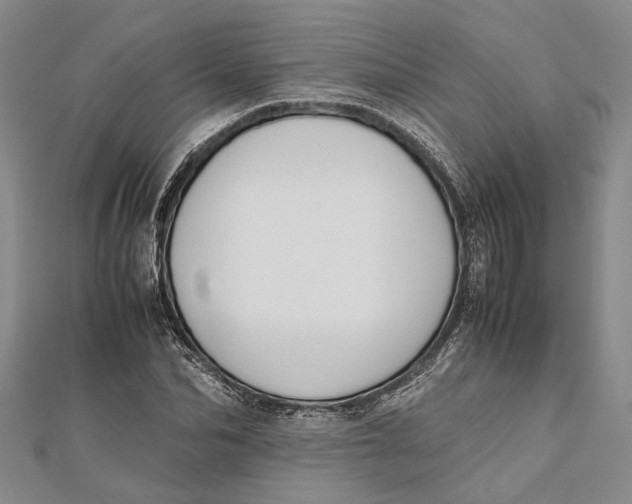 X0000112170974200908281336