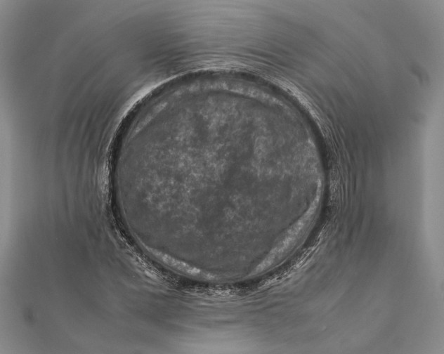 X0000112170975200908281336