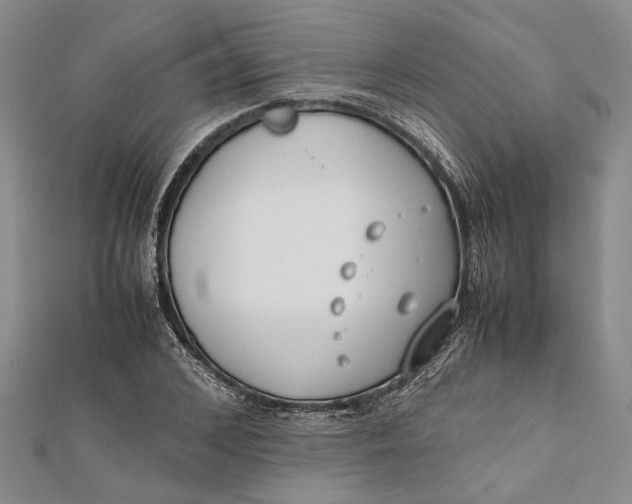 X0000112170976200908281336