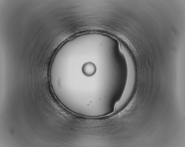 X0000112170977200908281336