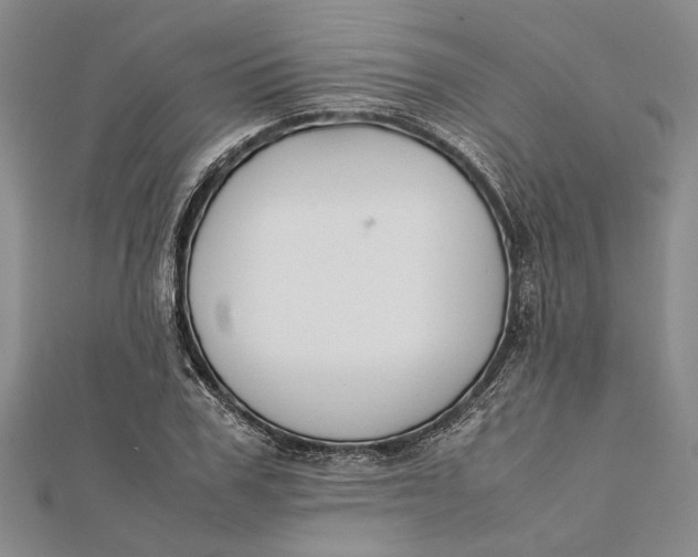 X0000112170979200908281336