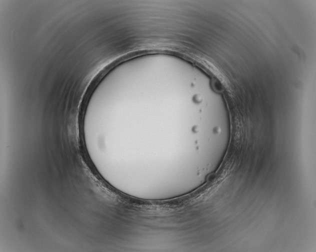 X0000112170980200908281336