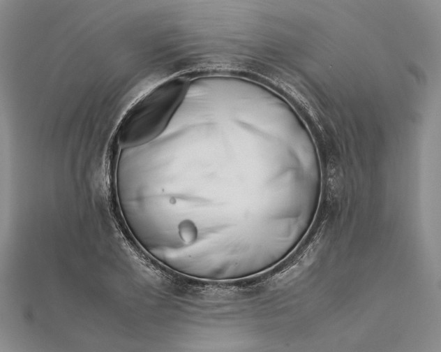 X0000112170981200908281336