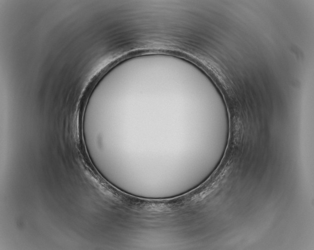 X0000112170982200908281336