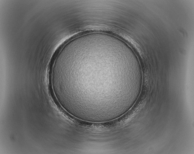 X0000112170983200908281336