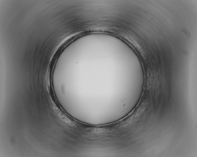 X0000112170984200908281336