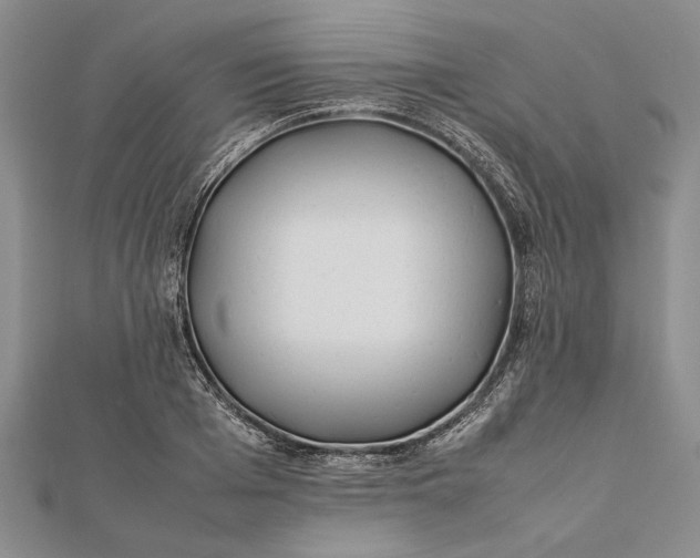 X0000112170985200908281336