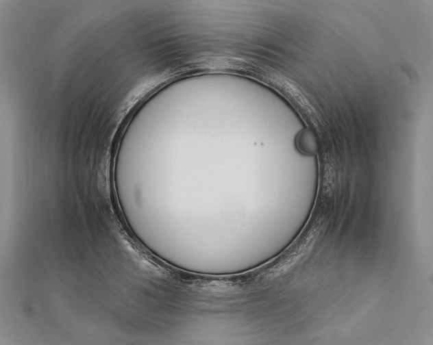 X0000112170986200908281336