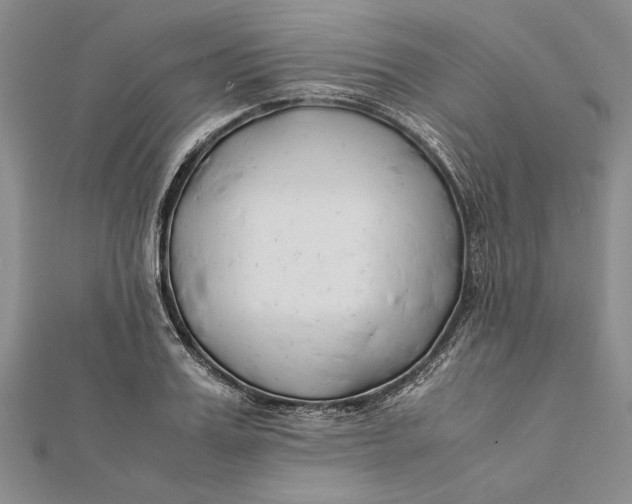 X0000112170987200908281336