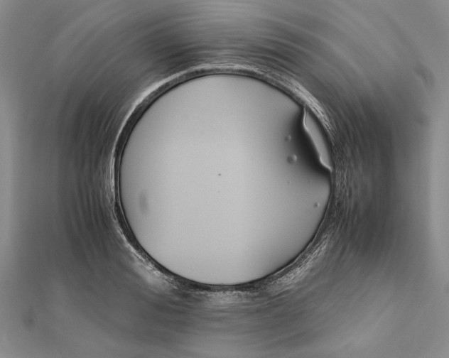 X0000112170988200908281336