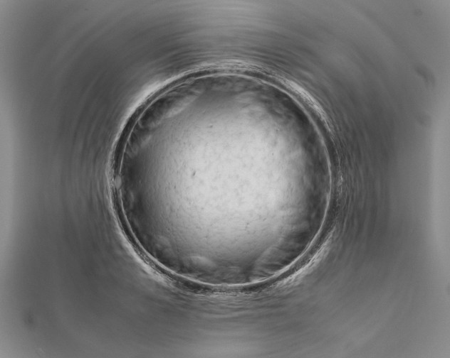 X0000112170989200908281336