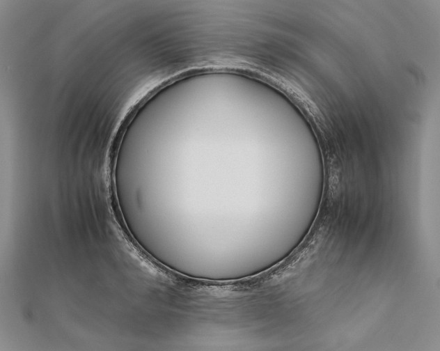 X0000112170990200908281336