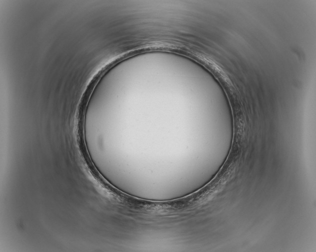 X0000112170991200908281336