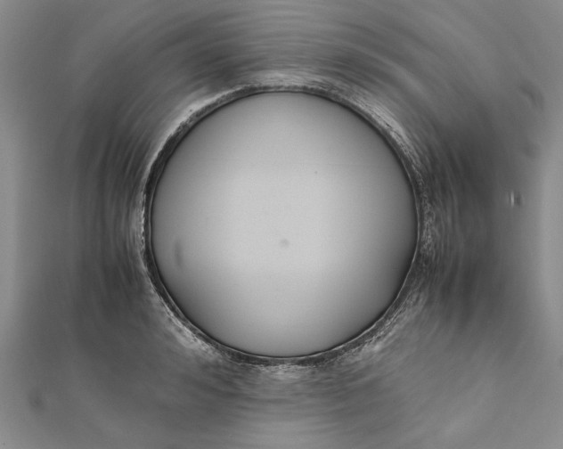 X0000112170992200908281336