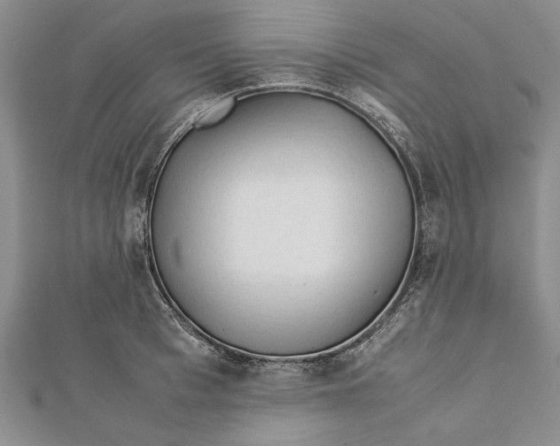 X0000112170993200908281336