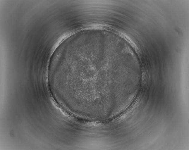 X0000112170994200908281336