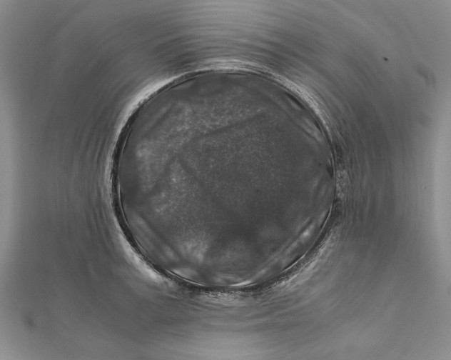 X0000112170995200908281336