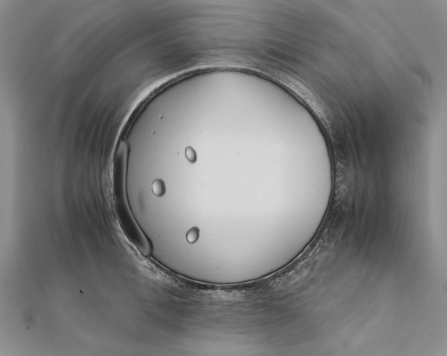 X0000112170996200908281336