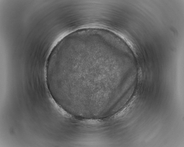 X0000112170998200908281336