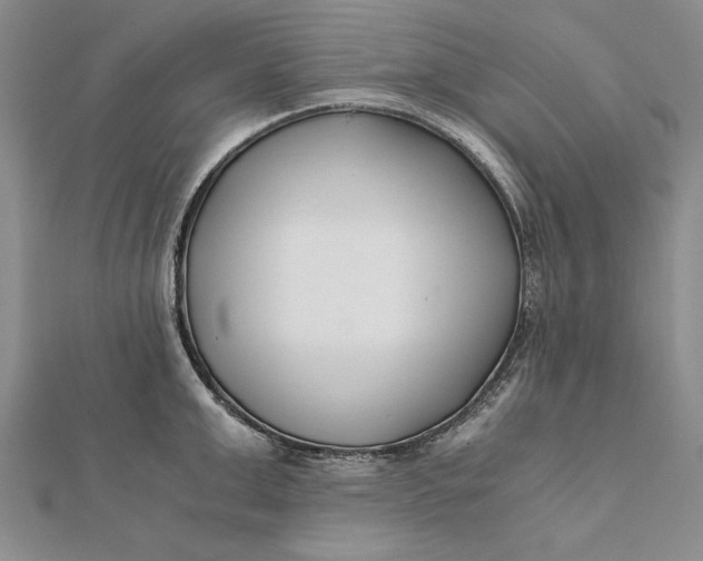 X0000112170999200908281336